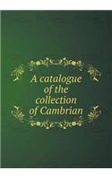 A Catalogue of the Collection of Cambrian