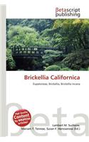 Brickellia Californica: (English)