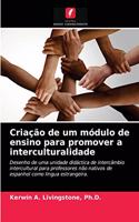 Criação de um módulo de ensino para promover a interculturalidade