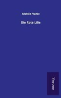 Rote Lilie