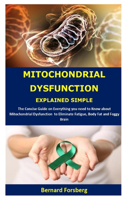 Mitochondrial Dysfunction Explained Simple