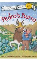 Pedro's Burro