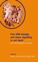 From DNA Damage and Stress Signalling to Cell Death