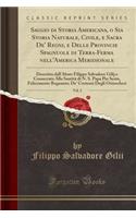 Saggio Di Storia Americana, O Sia Storia Naturale, Civile, E Sacra De' Regni, E Delle Provincie Spagnuole Di Terra-Ferma Nell'america Meridionale, Vol. 2: Descritta Dall'abate Filippo Salvadore Gilij E Consecrata Alla SantitÃ  Di N. S. Papa Pio Ses