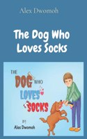 Dog Who Loves Socks