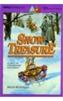 Snow Treasure