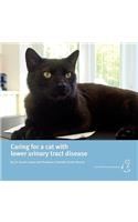 Caring for a Cat with Lower Urinary Tract Disease