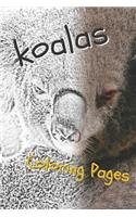 Koala Coloring Sheets