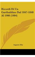 Ricordi Di Un Garibaldino Dal 1847-1848 Al 1900 (1904)
