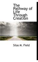 The Pathway of Life Through Creation