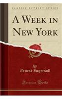 A Week in New York (Classic Reprint)