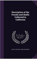 Description of the Fossils and Shells Collected in California