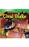 Coral Snake