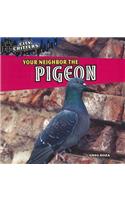 Your Neighbor the Pigeon: (City Critters)