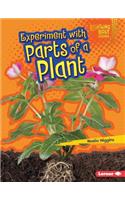 Experiment with Parts of a Plant