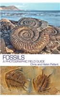 Fossils