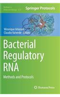 Bacterial Regulatory RNA