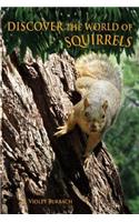 Discover the World of Squirrels