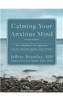 Calming Your Anxious Mind