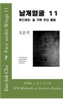 Face Under Wings 11