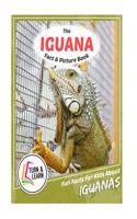 The Iguana Fact and Picture Book: Fun Facts for Kids about Iguanas