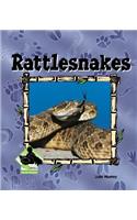 Rattlesnakes