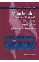 Mitochondria