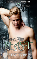 Taming the Beast