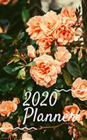 2020 planner
