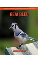 Geai Bleu: Images étonnantes et faits amusants pour les enfants