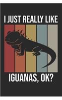 I Just Really Like Iguanas, OK?: DIN A5 Leguan Notizheft liniert - 120 Seiten liniertes Leguan Notizbuch für Notizen in Schule, Universität, Arbeit oder zuhause. - Eine tolles Gesch
