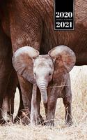 Elephant Mammoth Week Planner Weekly Organizer Calendar 2020 / 2021 - Sweet Baby