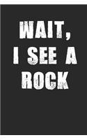 Wait I See a Rock