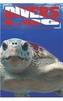 Divers Log