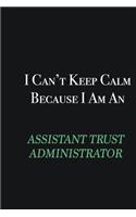 I cant Keep Calm because I am an Assistant Trust Administrator: Writing careers journals and notebook. A way towards enhancement