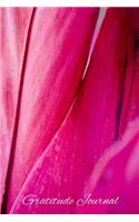 Gratitude Journal