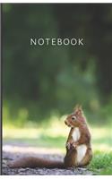 notebook: Discreet PASSWORD BOOK with Tabs Squirrel Password Keeper, Organizer (Websites, e-mail, Phone, Internet Provider, Home Network etc.)