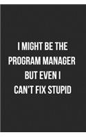 I Might Be The Program Manager But Even I Can't Fix Stupid