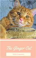 The Ginger Cat 2020 Calendar