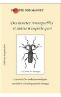 Des Insectes Remarquables Et Autres n'Importe Quoi