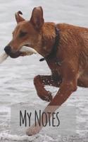 My Notes: The Most Famous Animals from Whole World Notebook, Journal, Note (110 Pages, Blank, 6 X 9)