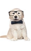 Golden Retriever Notebook
