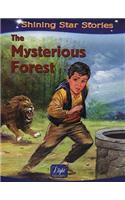 Mysterious Forest