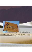 A Year or So in the Life of New Mexico