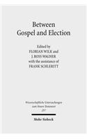 Between Gospel and Election: Explorations in the Interpretation of Romans 9-11