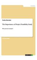Importance of Project Feasibility Study