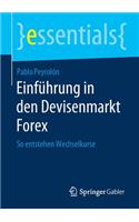 Einführung in Den Devisenmarkt Forex