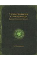 Apparat Dvizheniya I Opory Loshadi Funktsional'nyj Analiz