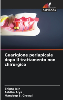 Guarigione periapicale dopo il trattamento non chirurgico