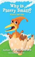 Why is Pterry Small?